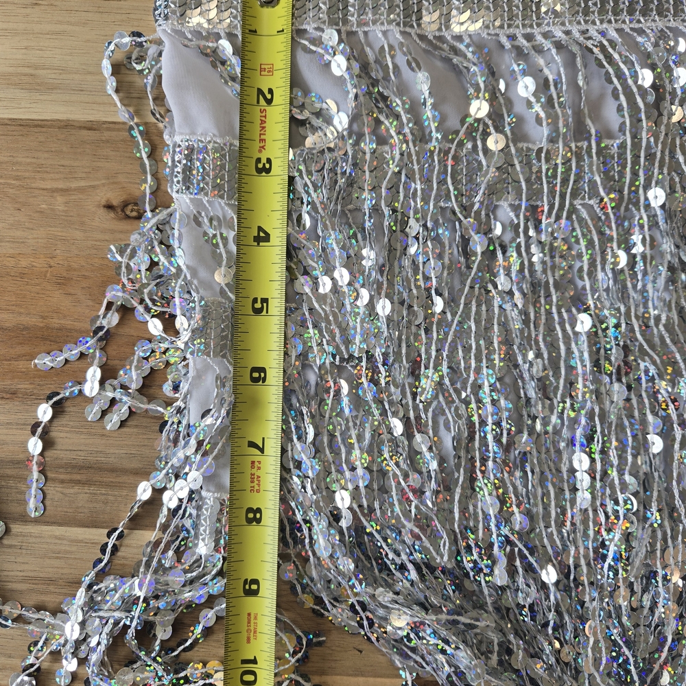 Source Unknown Silver Sequin Fringe Two-Piece Set - Picture 5 of 16